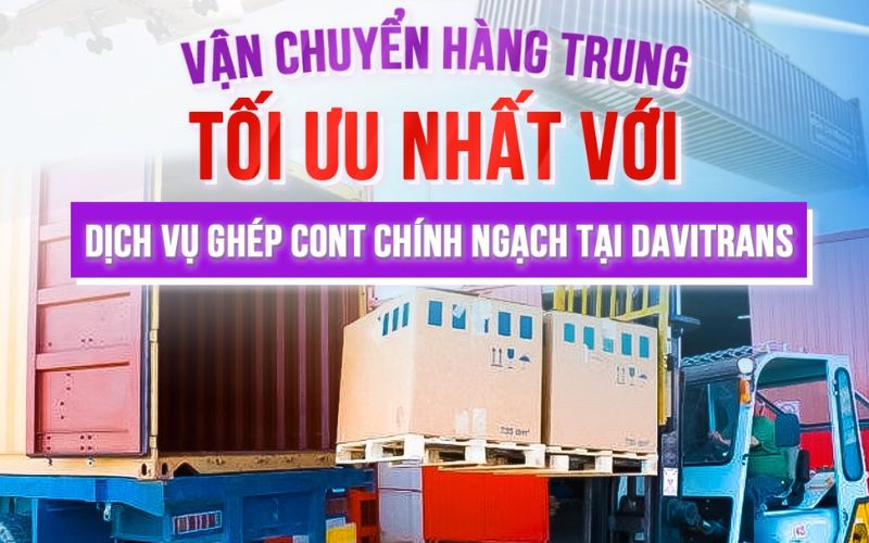 Đại Việt Davitrans