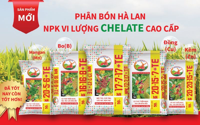 địa chỉ cung cấp phân bón Hà Lan