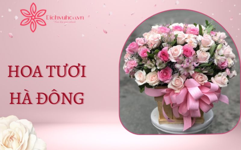 Địa chỉ mua hoa tươi chất lượng và giá tốt