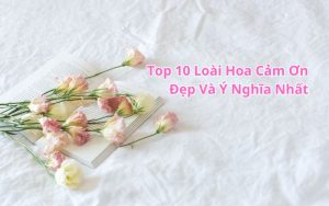 hoa cảm ơn