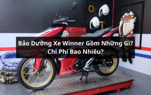 bảo dưỡng xe winner