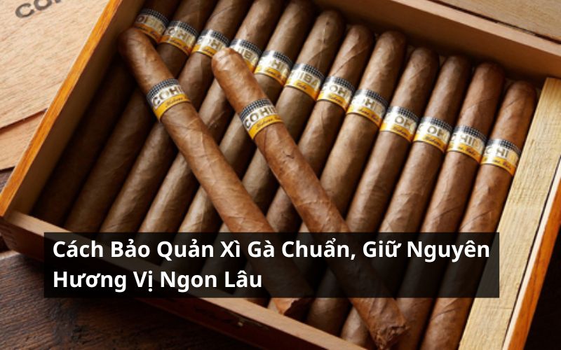 cách bảo quản xì gà