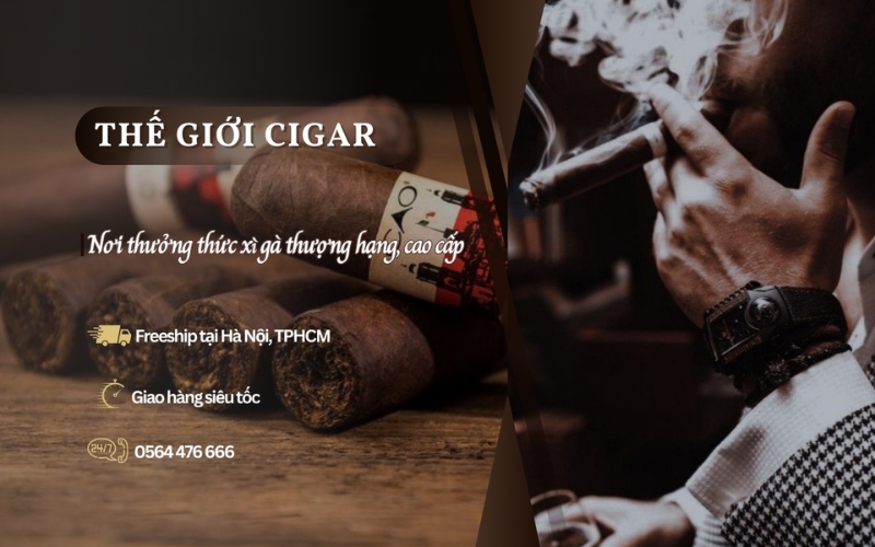 Thế Giới Cigar địa chỉ cung cấp xì gà chính hãng